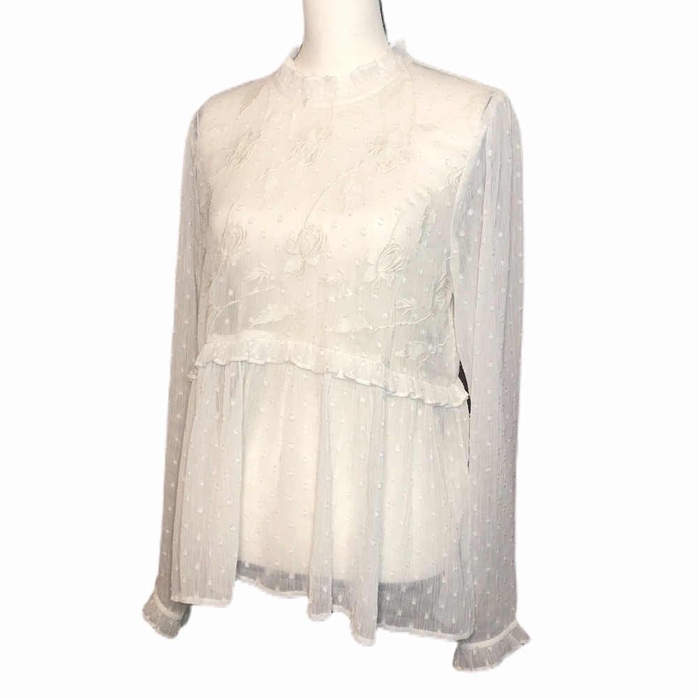 ANTHRO MEADOW RUE Sheer Floral Embroidered Top 12